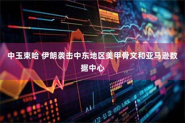 中玉束哈 伊朗袭击中东地区美甲骨文和亚马逊数据中心